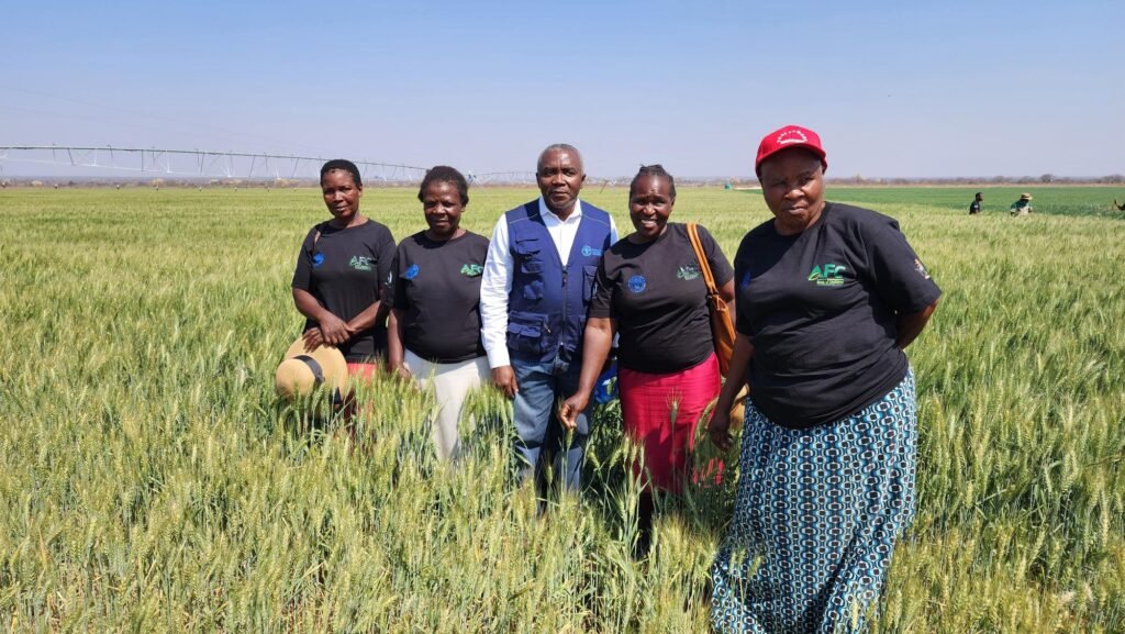 group loans group loans